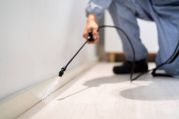 Certified termite inspector examining foundation in Indian River Estates